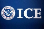 Farmington University arrests., Indians arrested in US, us 129 indians among 130 students arrested in pay to stay immigration fraud, Immigration lawyer