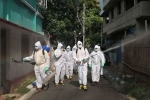 deaths, deaths, how the world s 2nd most populous country has just 1000 covid 19 deaths, Bcg vaccine