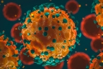 coronavirus India updates, Coronavirus India tally, 37 875 new coronavirus cases reported in india, Union health ministry