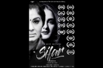 entertainment, sifar movie, indian film a gift of love sifar bags over 26 awards, Mtv