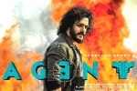 Agent breaking updates, Agent movie, a grand pre release event planned for akhil s agent, Akhil akkineni