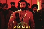 Animal film, Animal Filmfare Awards, record breaking nominations for animal, Rana