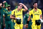 Australia Vs South Africa videos, Australia Vs South Africa news, australia enters world cup final 2023, Mitchell starc