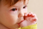 Watery eyes in Babies news, Watery eyes in Babies latest, real causes does your baby have watery eyes, Common cold Watery eyes in Babies news, Watery eyes in Babies latest, real causes does your baby have watery eyes, Common cold