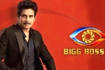 Bigg Boss 5 Telugu, Bigg Boss 5 announcement, bigg boss 5 to commence from september 5th, Star maa Bigg Boss 5 Telugu, Bigg Boss 5 announcement, bigg boss 5 to commence from september 5th, Star maa