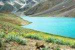 How to Reach the Stunning Chandratal Lake?