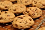 Homemade Biscuits Recipes, Biscuits Recipe, tasty and crunchy chocolate cookies recipe, Biscuits recipe Homemade Biscuits Recipes, Biscuits Recipe, tasty and crunchy chocolate cookies recipe, Biscuits recipe