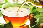 herbs, anti-bacteria, is consuming tea linked to immunity, Food options