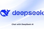 DeepSeek AI latest, DeepSeek 2025 news, deepseek releases janus pro 7b image generation ai model, License