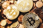 Delhi-Noida Gang Rs 260 Cr scam updates, Delhi-Noida Gang Rs 260 Cr scam breaking updates, delhi noida gang cheated usa and canada citizens for rs 260 cr, Bitcoin