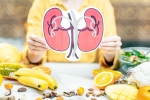 Healthy Kidneys medicine, Healthy Kidneys foods, food items to include in your diet for healthy kidneys, Kidneys health