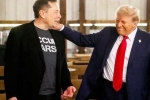 Donald Trump, Donald Trump statements, donald trump s praise for musk s starlink, Us elections 2024
