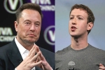Elon Musk Vs Mark Zuckerberg latest, Elon Musk Vs Mark Zuckerberg news, elon musk vs mark zuckerberg rivalry, Mark zuckerberg