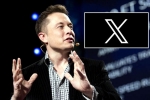 X subscription users, X subscription latest, elon musk announces that x would be paid for everyone, Revenue