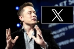 X subscription latest, X, elon musk announces that x would be paid for everyone, Social networking