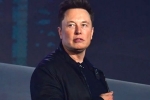 Elon Musk latest, Elon Musk updates, elon musk talks about cage fight again, Snack
