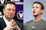 Elon Musk and Mark Zuckerberg, Elon Musk and Mark Zuckerberg flight, elon vs zuckerberg mma fight ahead, Mark zuckerberg