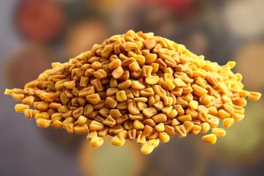 Advantages of Fenugreek Seeds in hair growth Advantages of Fenugreek Seeds in hair growth