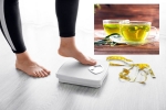 Green Tea for Weight loss breaking news, Green Tea for Weight loss, can consuming green tea really help in weight loss, Skin care