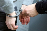 Indian american homes, Indian american homes, houston woman found guilty robbing indian american homes across u s, Disguise