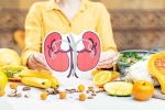 Kidneys Health India, Kidneys Health food, how to keep your kidneys healthy, Kidneys health