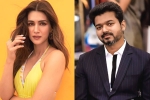 Vamshi Paidipally, Vamshi Paidipally, kriti sanon to romance vijay in his next, Kadi