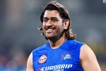 MS Dhoni new role, MS Dhoni latest, good news for ms dhoni fans, Ms dhoni