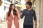 Manmadhudu 2 movie story, Manmadhudu 2 rating, manmadhudu 2 movie review rating story cast and crew, Rahul ravindran