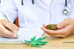 Michigan, Michigan, michigan approves medical marijuana for 11 new medical conditions, Autism