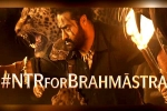 NTR, Brahmastra and Rajamouli, ntr turns chief guest for brahmastra event, Back pain