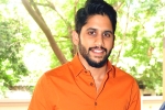 Naga Chaitanya updates, Naga Chaitanya latest, naga chaitanya signs a new flick, Premam