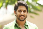 Naga Chaitanya next movie, Naga Chaitanya new film, naga chaitanya signs his next, Savyasachi Naga Chaitanya next movie, Naga Chaitanya new film, naga chaitanya signs his next, Savyasachi