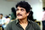 Nagarjuna, Nagarjuna breaking news, nagarjuna in a periodic drama, God father