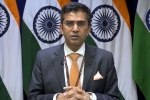 mea statement on paksitan, mea on pakistan, mea naya pakistan with naya soch should show naya action against terrorist groups, Pakistan terror