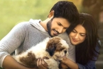 Ninu Veedani Needanu Nene movie story, Ninu Veedani Needanu Nene movie rating, ninu veedani needanu nene movie review rating story cast and crew, Ninu veedani needanu nene rating