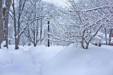 No Snow in Michigan for the Next 10 Days due to an upcoming storm