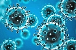 Coronavirus, Tollywood movies, omicron fear for tollywood, Tollywood movies