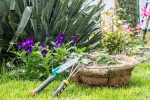 Plants that attract Snakes names, Plants that attract Snakes breaking, five plants that attract snakes at home, High temperatures