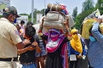 vikas khanna, lockdown, plight of migrant workers baby shakes to wake up deceased mother, Msme