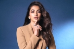 Pooja Hegde 2024, Pooja Hegde next movies, pooja hegde lines up bollywood films, Nsc