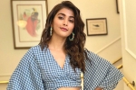 Pooja Hegde updates, Pink remake, pooja hegde in pink remake, Taapsee