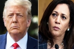 Joe Biden, Amy Tripp breaking, astrologer predictions about the new us president, Us presidential elections