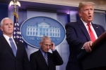 president trump, cdc, quarantine will not be necessary president trump about new york lockdown, Rhode island