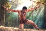 RRR song, RRR release date, rrr 22 days collections, Shriya saran