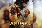 Ranbir Kapoor Animal latest updates, Ranbir Kapoor Animal latest updates, ranbir kapoor s animal updates, Arjun reddy