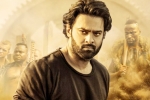 Saaho collections, Saaho, saaho first week telugu collections, Mandira bedi Saaho collections, Saaho, saaho first week telugu collections, Mandira bedi