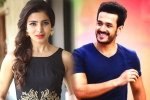 Samantha, Samantha next film, samantha and akhil to clash in august, Bollywood films