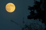 Supermoon 2025 new updates, Supermoon 2025 science, science behind supermoon explained, Rbi Supermoon 2025 new updates, Supermoon 2025 science, science behind supermoon explained, Rbi
