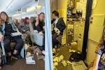 Singapore Airlines accident, Singapore Airlines breaking, one dead and 30 injured in singapore airlines turbulence horror, Singapore airlines