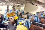 Singapore Airlines accident, Singapore Airlines turbulence horror injured, singapore airlines statement after turbulence horror, Singapore airlines
